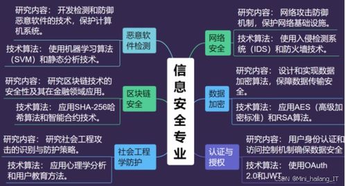 信息安全專業(yè)畢設選題指導手冊 熱門研究方向全覆蓋