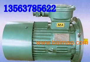 ybb30 4電動(dòng)機(jī) ybb電機(jī)dsb電機(jī)ybj電,ybb30 4電動(dòng)機(jī) ybb電機(jī)dsb電機(jī)ybj電生產(chǎn)廠(chǎng)家,ybb30 4電動(dòng)機(jī) ybb電機(jī)dsb電機(jī)ybj電價(jià)格